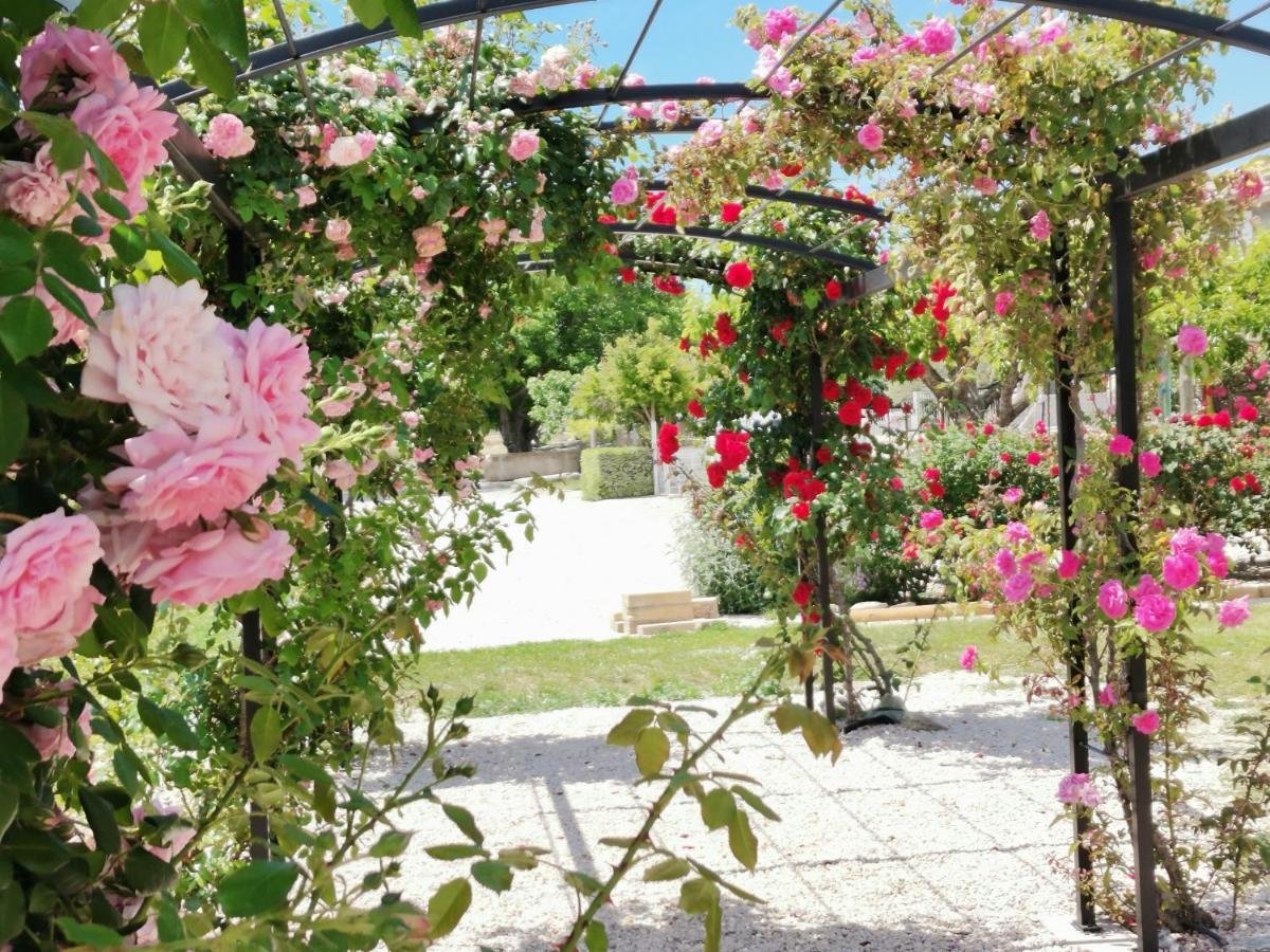 Modene Gite En Provence Lavande מראה חיצוני תמונה