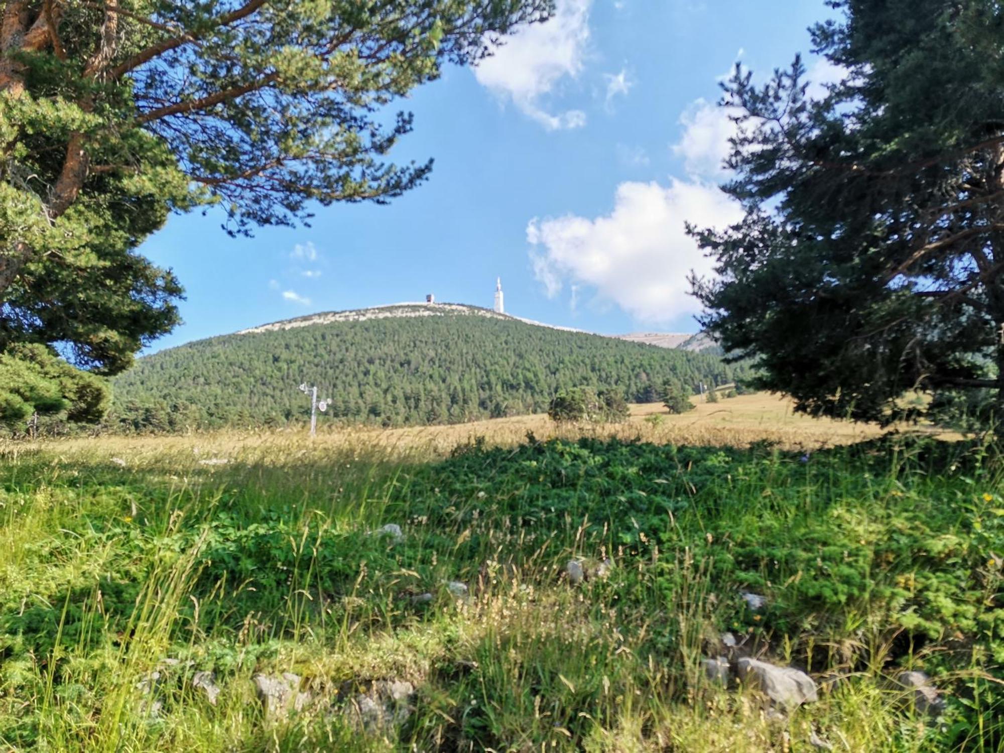 Modene Gite En Provence Lavande מראה חיצוני תמונה