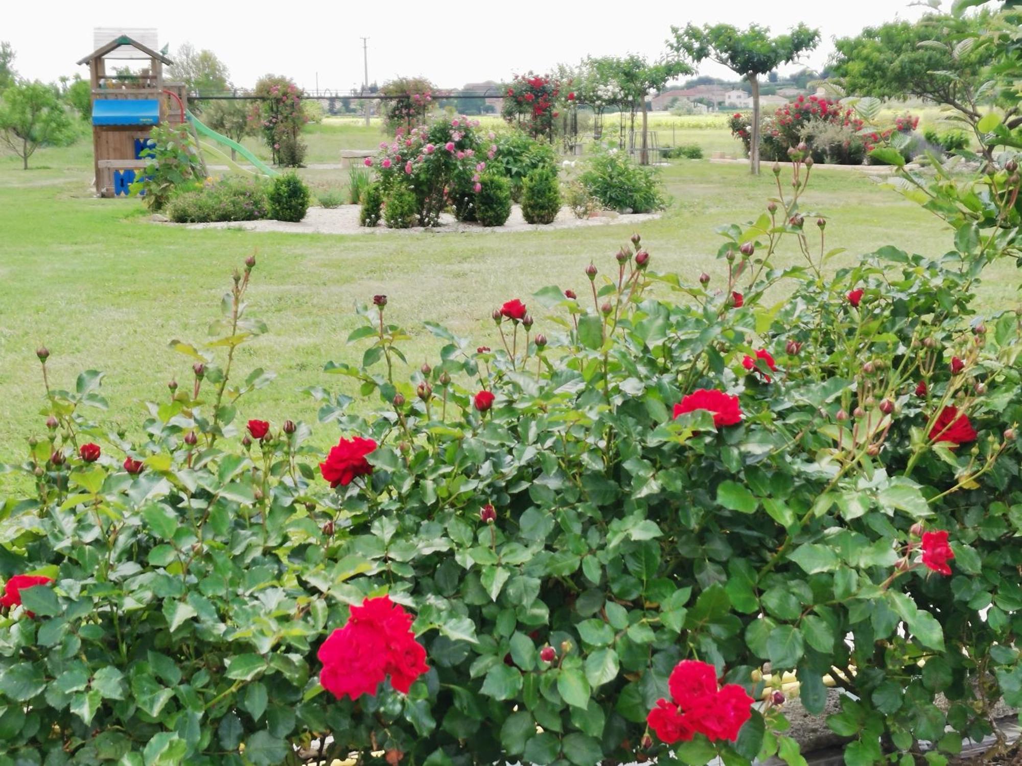 Modene Gite En Provence Lavande מראה חיצוני תמונה