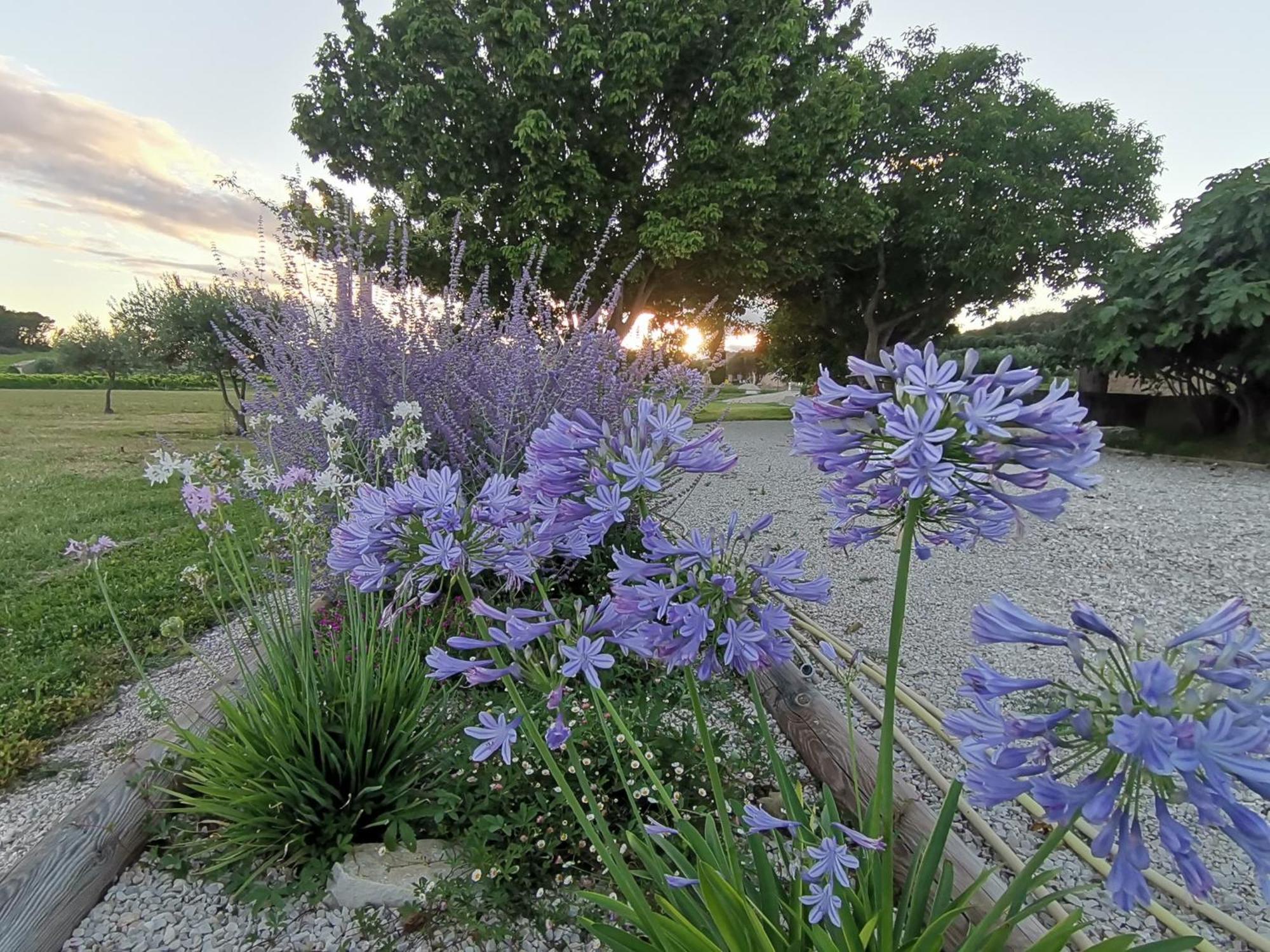 Modene Gite En Provence Lavande מראה חיצוני תמונה